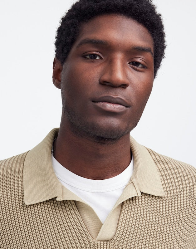 Cotton Shaker Stitch Johnny-Collar Sweater Polo PALE FATIGUE